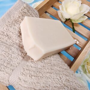 Waterfall Soapworks - Coconut Milk 165g