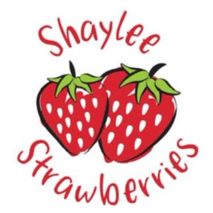 Shaylee Strawberries Jam 600gm handmade on the in Yungaburra FNQ