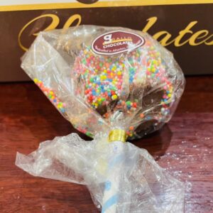 Gallo Dairyland - Sprinkle Chocolate Marshmallow Pop