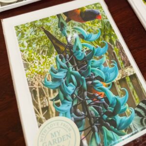 My Garden - Greeting Cards