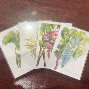 Julie McEnerny - A5 Botanical Prints