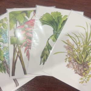 Julie McEnerny - A4 Botanical Prints