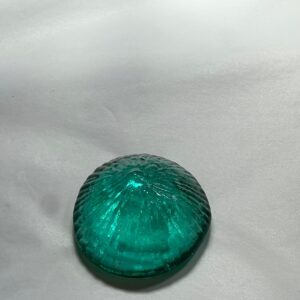 Caslake & Pedler - Limpet Glass Shell